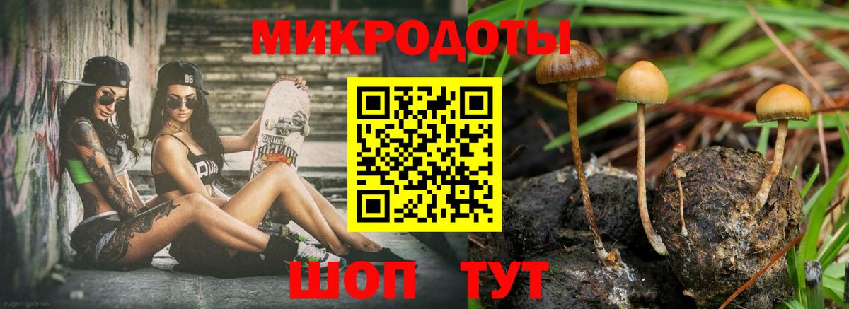 Псилоцибиновые грибы ЛСД Кумертау