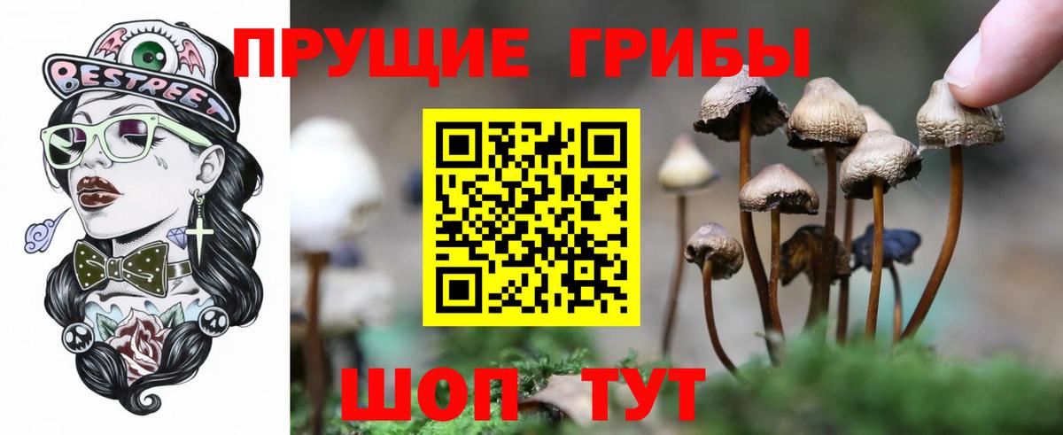 Галлюциногенные грибы мицелий  закладка  Кумертау  Вход с VPN 